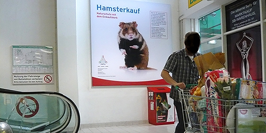 Hamsterkäufe